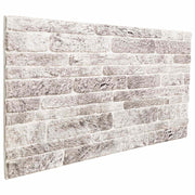Zidne panele 10 pcs Svijetlo siva i bijela. 100 x 50 cm