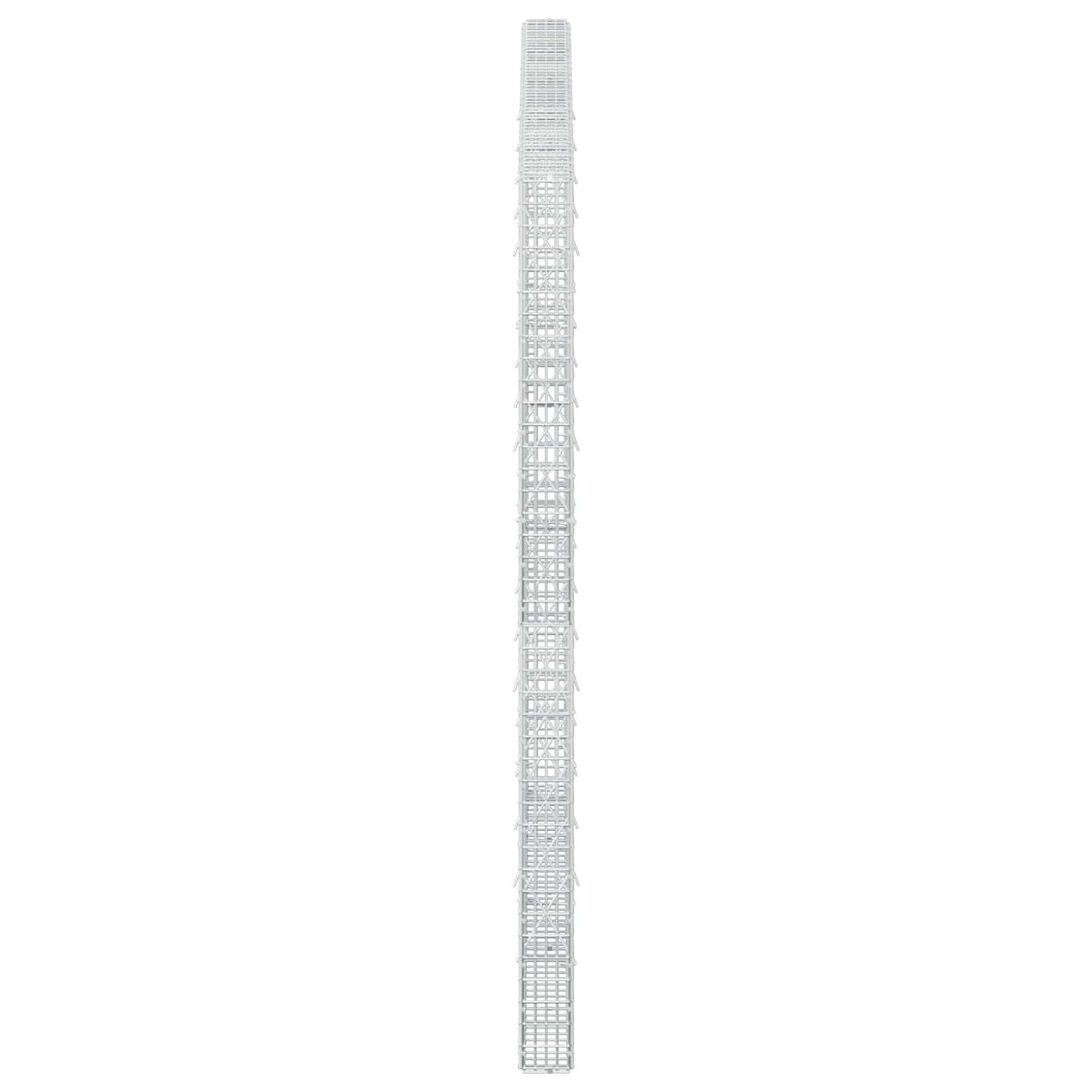 Gabion s žicom debljine 3,5 mm i mrežom 5x2,5 cm 250x10x200 cm
