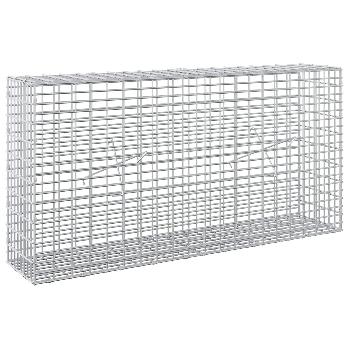 Gabion s žicom debljine 3,5 mm i mrežom 5x2,5 cm 100x20x50 cm