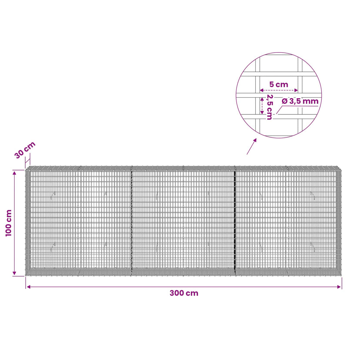 Gabion s žicom debljine 3,5 mm i mrežom 5x2,5 cm 300x30x100 cm