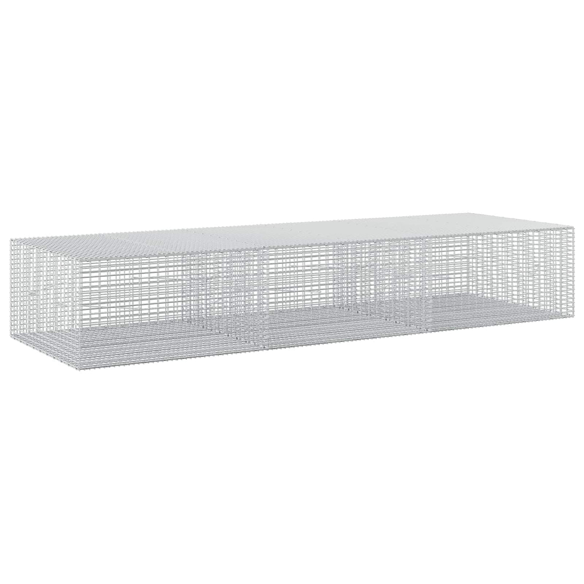 Gabion s žicom debljine 3,5 mm i mrežom 5x2,5 cm 300x100x50 cm