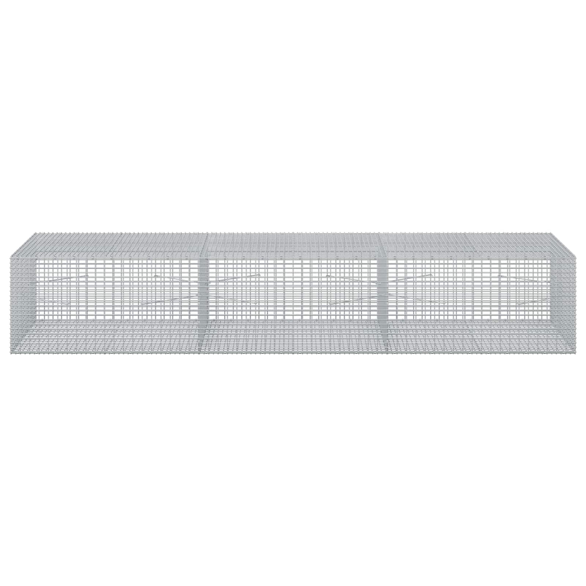 Gabion s žicom debljine 3,5 mm i mrežom 5x2,5 cm 300x100x50 cm