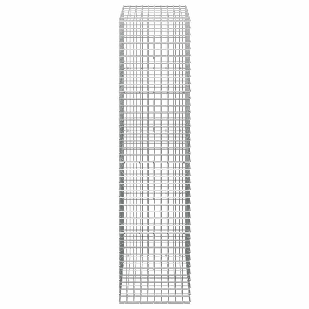 Gabion s žicom debljine 3,5 mm i mrežom 5x5 cm 50x30x200 cm