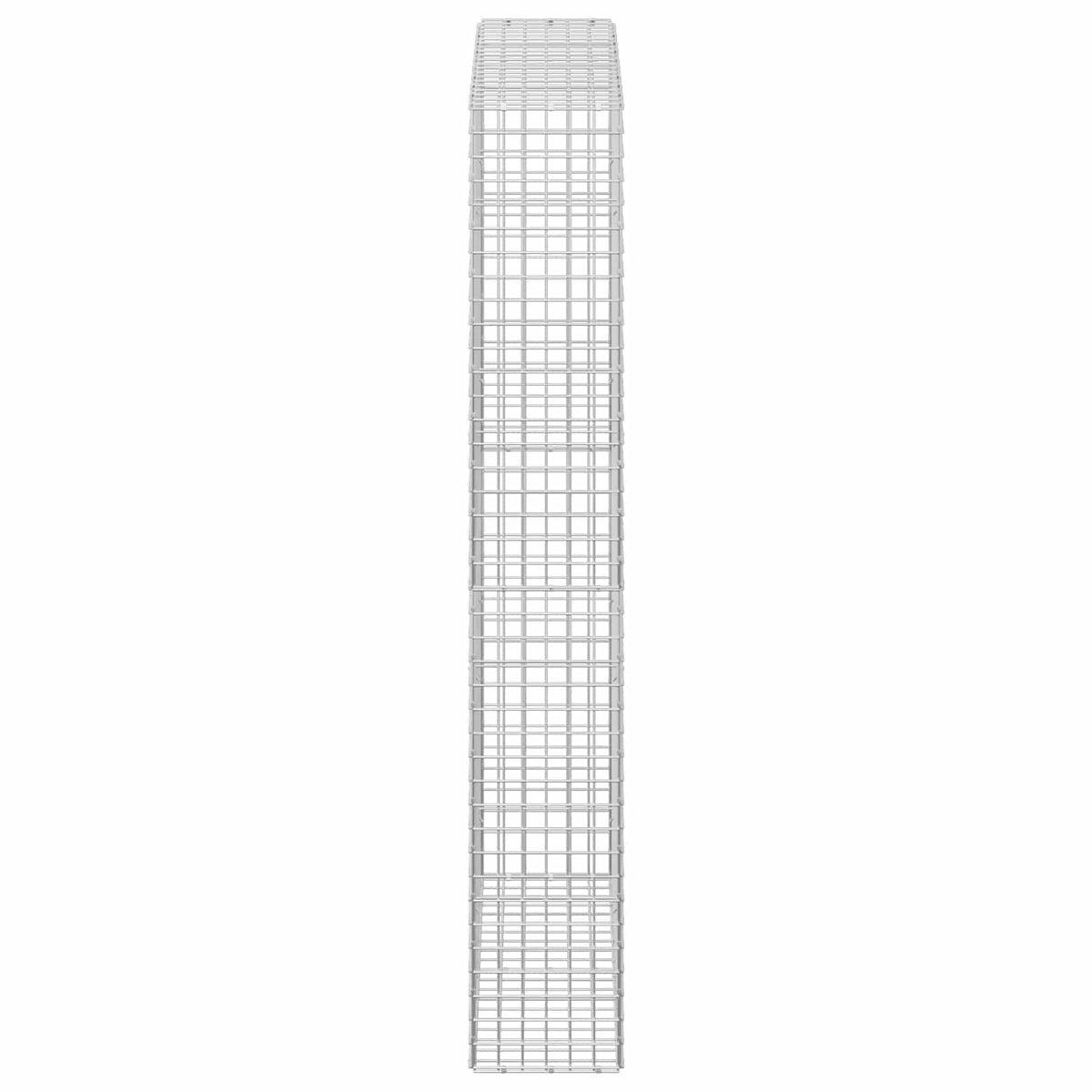 Gabion s žicom debljine 3,5 mm i mrežom 5x5 cm 100x30x200 cm