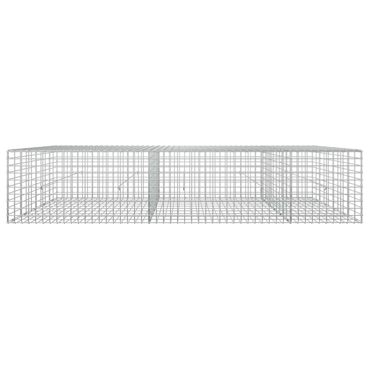 Gabion s žicom debljine 3,5 mm i mrežom 5x5 cm 250x50x50 cm