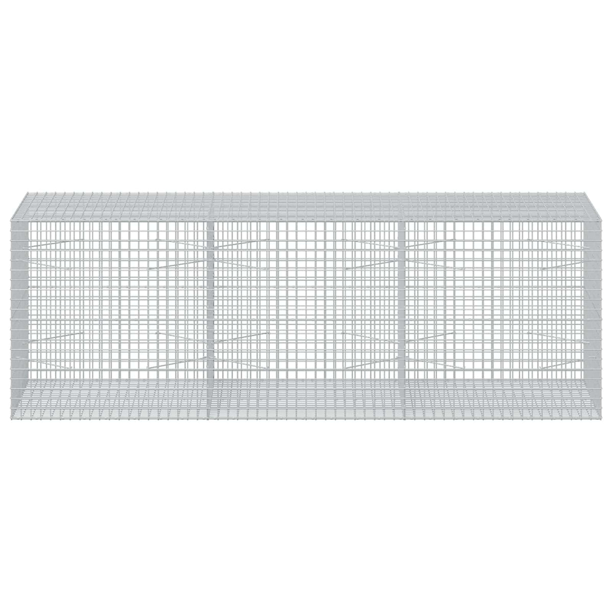 Gabion s žicom debljine 3,5 mm i mrežom 5x5 cm 300x100x100 cm