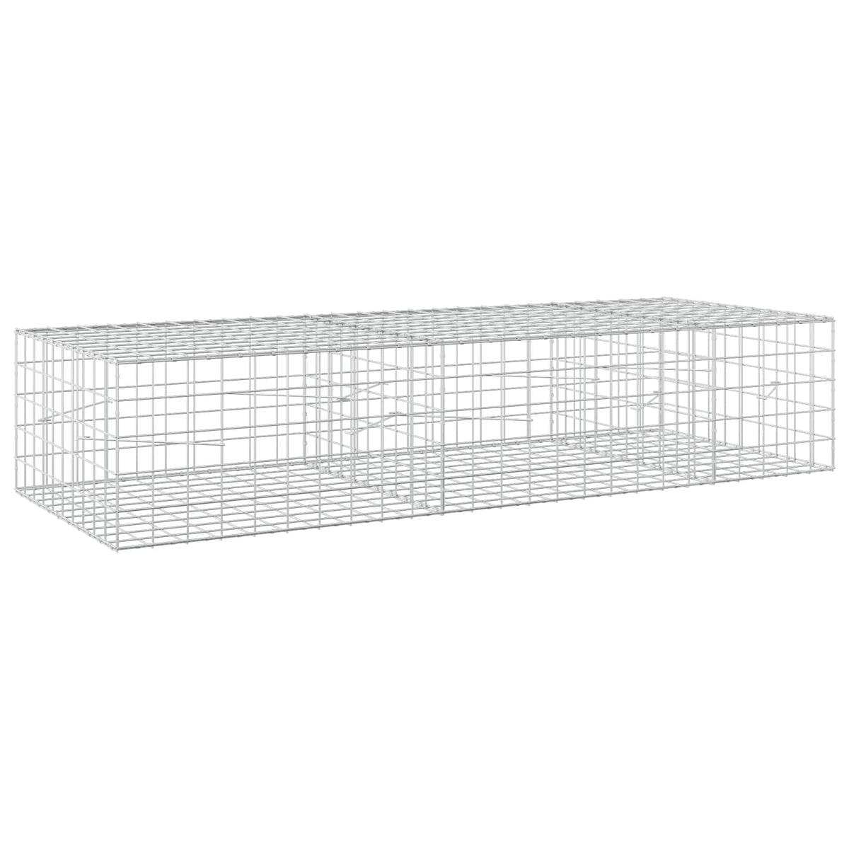 Gabion s žicom debljine 3,5 mm i mrežom 10x10 cm 250x100x50 cm
