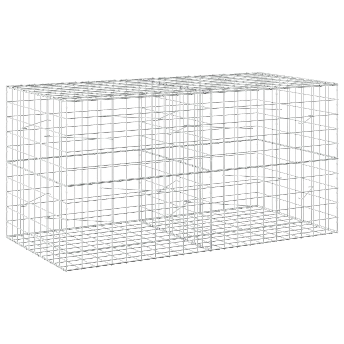 Gabion s žicom debljine 3,5 mm i mrežom 10x10 cm 200x100x100 cm