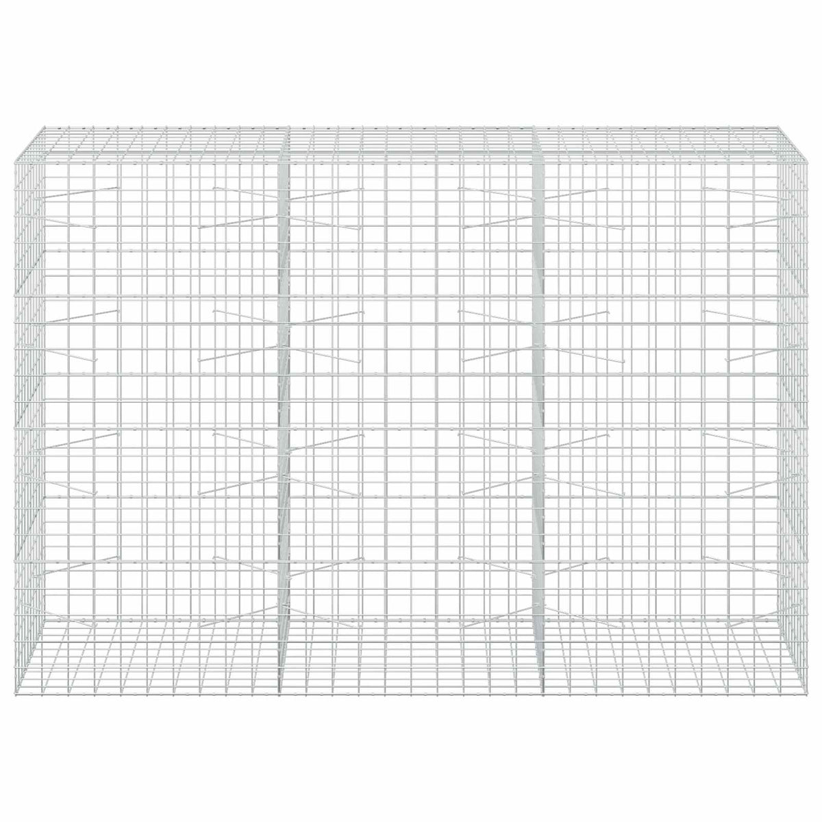 Gabion s žicom debljine 3,5 mm i mrežom 10x10 cm 300x100x200 cm
