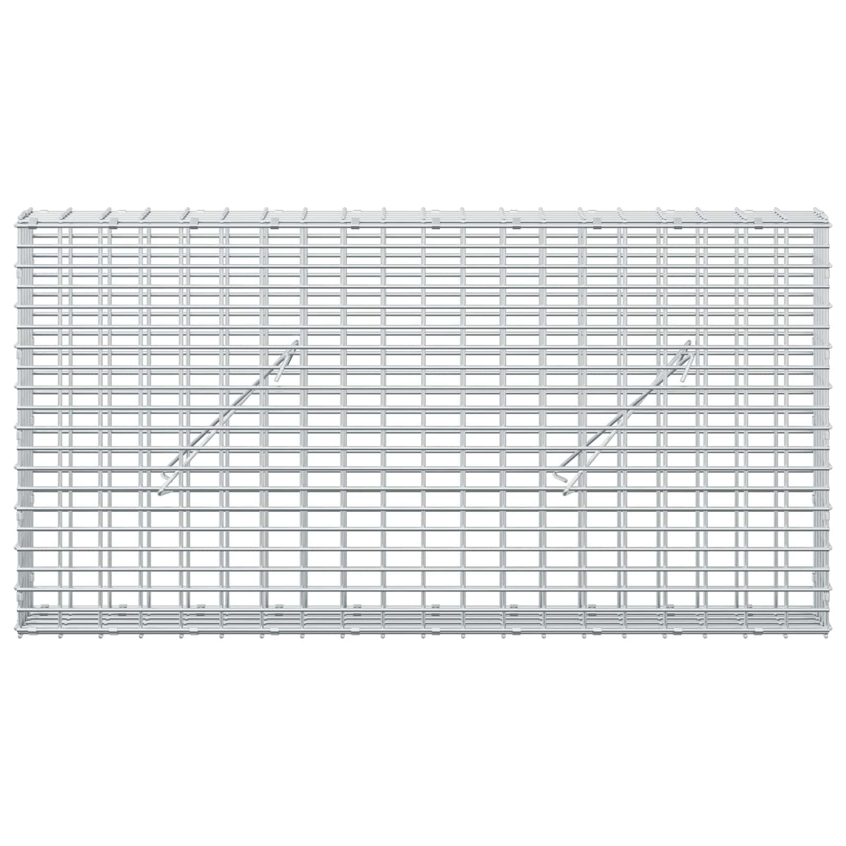 Gabion s žicom debljine 5 mm i mrežom 5x2,5 cm 100x10x50 cm