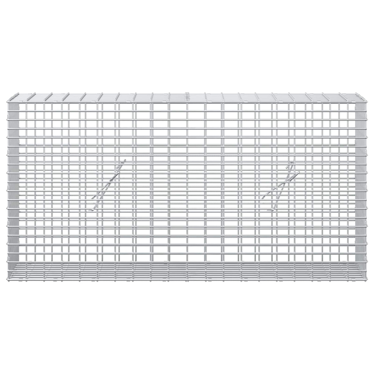 Gabion s žicom debljine 5 mm i mrežom 5x2,5 cm 100x20x50 cm