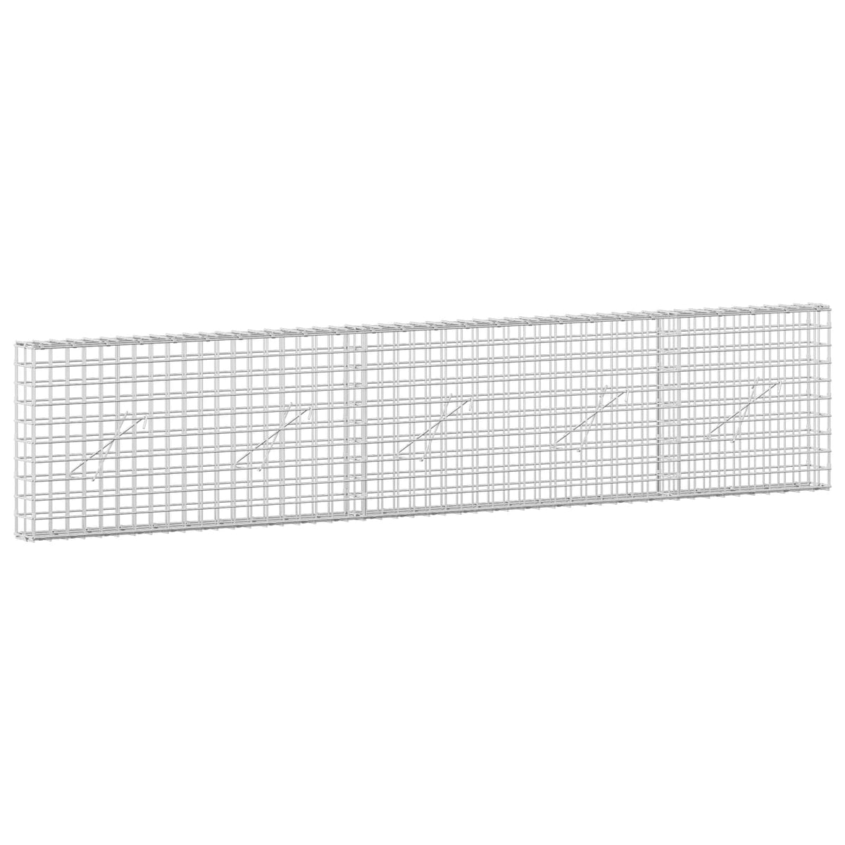 Gabion s 5 mm žicom i mrežom 5x5 cm 250x10x50 cm
