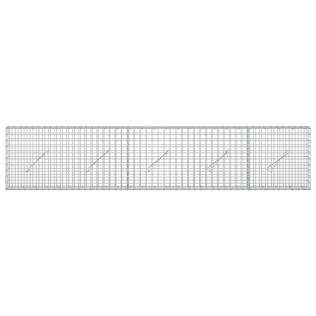 Gabion s 5 mm žicom i mrežom 5x5 cm 250x10x50 cm