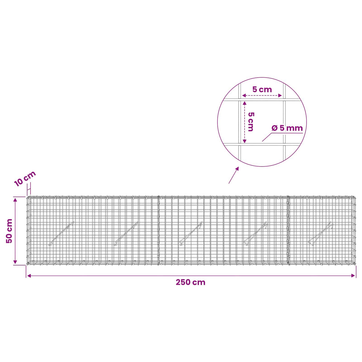 Gabion s 5 mm žicom i mrežom 5x5 cm 250x10x50 cm