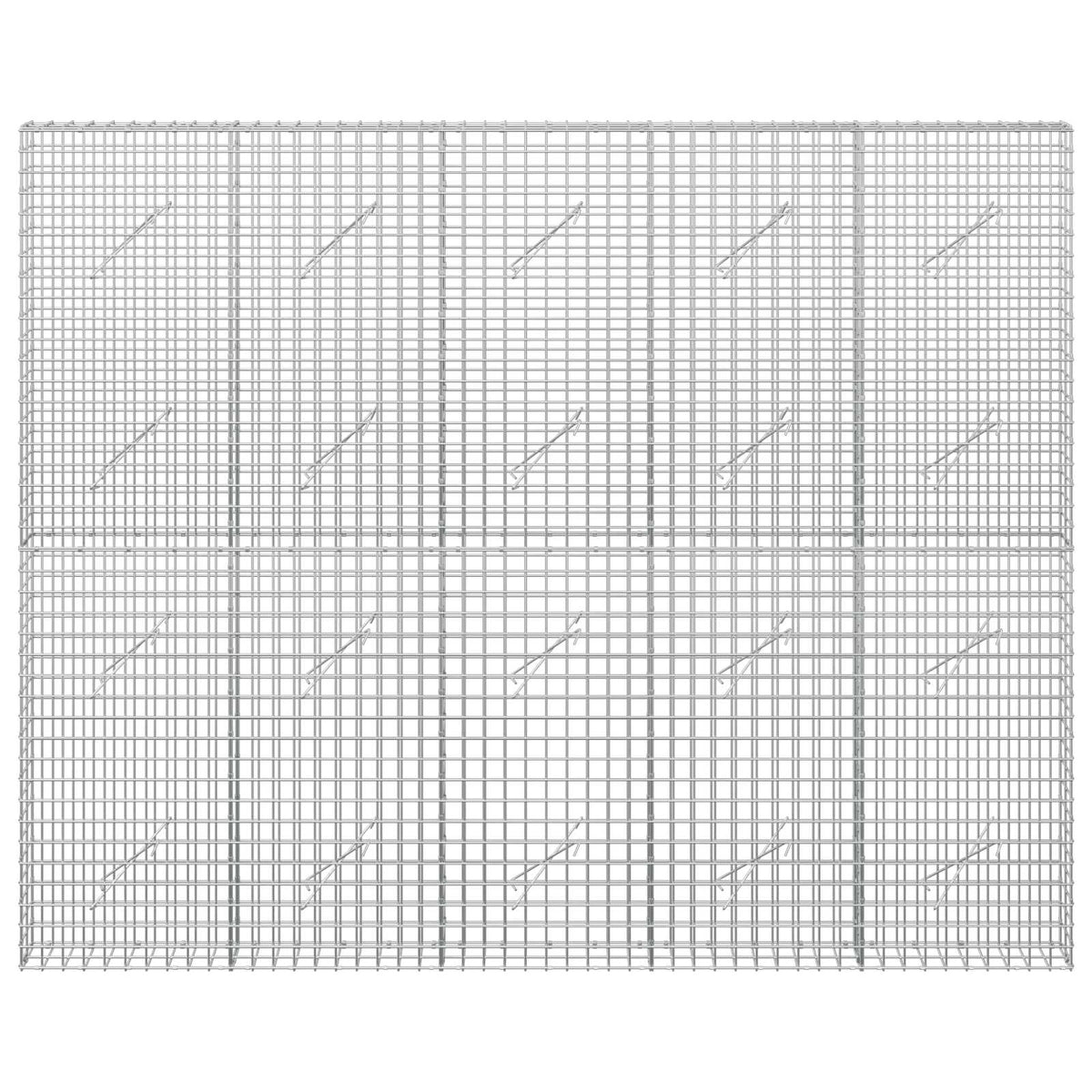 Gabion s 5 mm žicom i mrežom 5x5 cm 250x10x200 cm