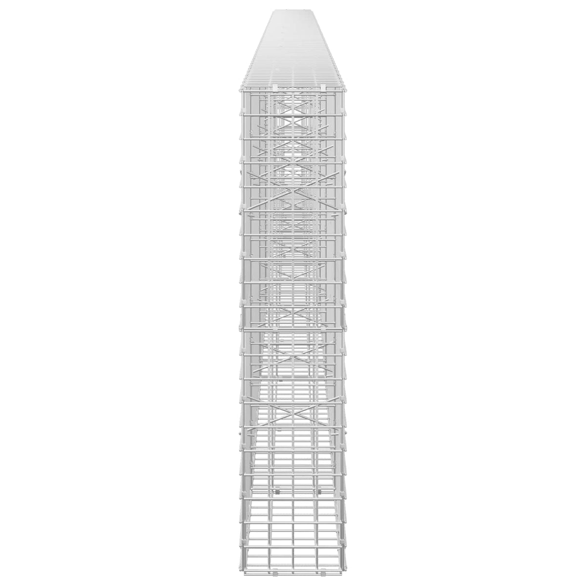 Gabion s 5 mm žicom i mrežom 5x5 cm 550x20x100 cm