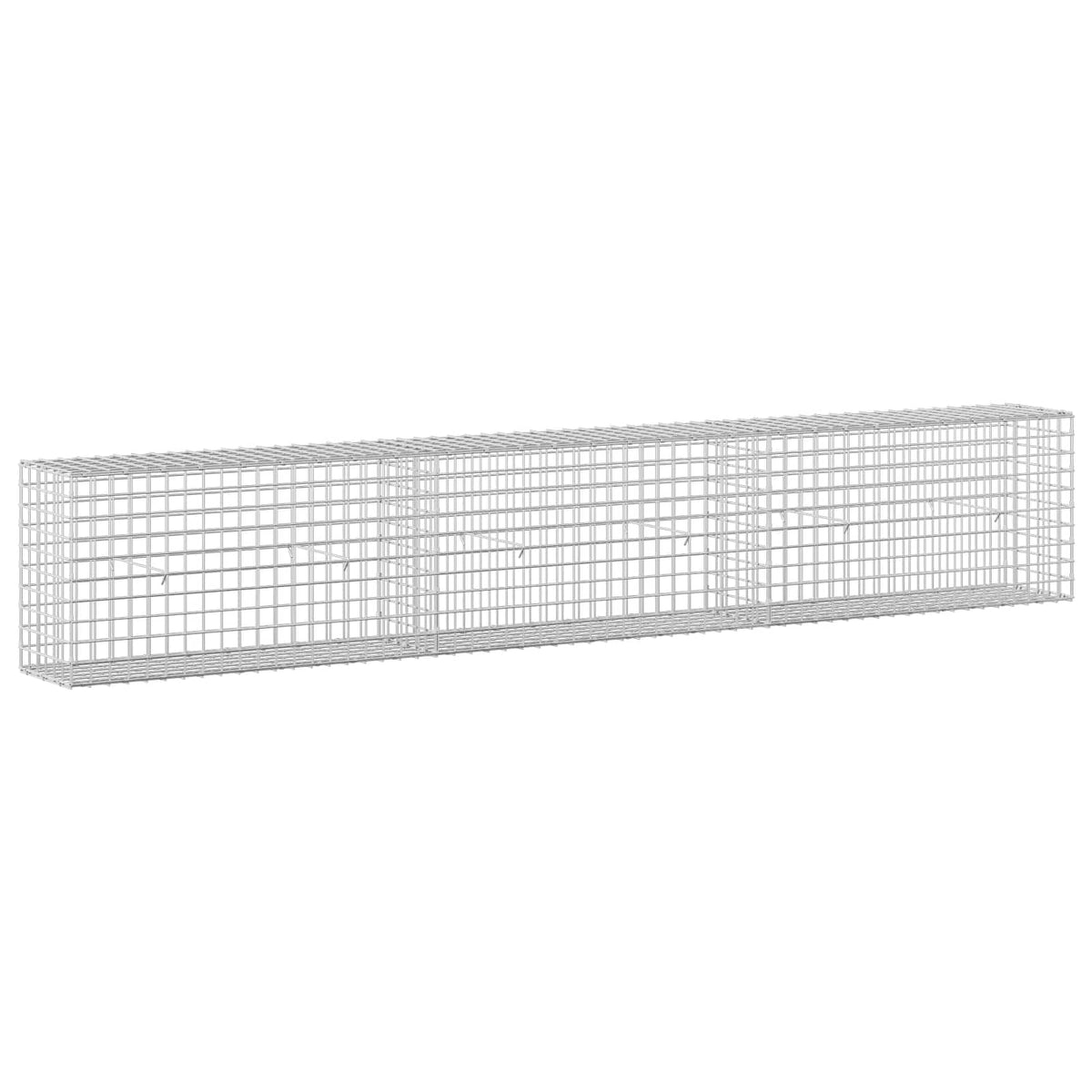 Gabion s 5 mm žicom i mrežom 5x5 cm 300x30x50 cm