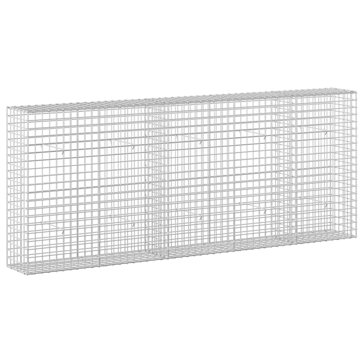 Gabion s 5 mm žicom i mrežom 5x5 cm 250x30x100 cm