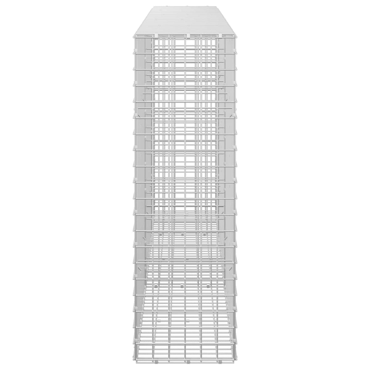 Gabion s 5 mm žicom i mrežom 5x5 cm 250x30x100 cm