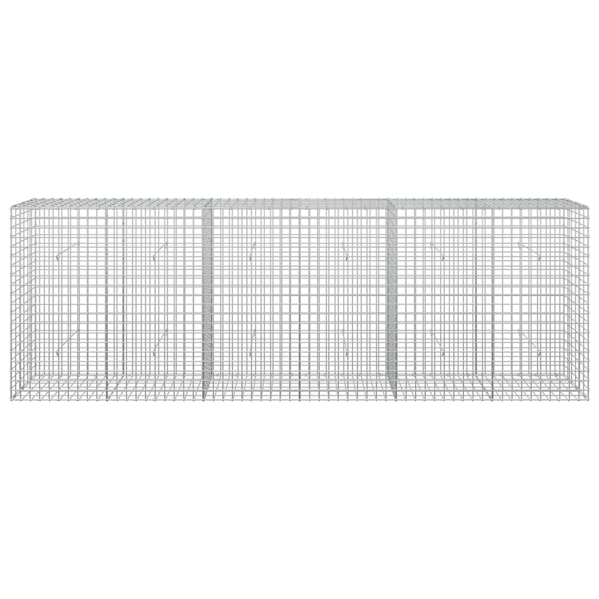 Gabion s 5 mm žicom i mrežom 5x5 cm 300x30x100 cm