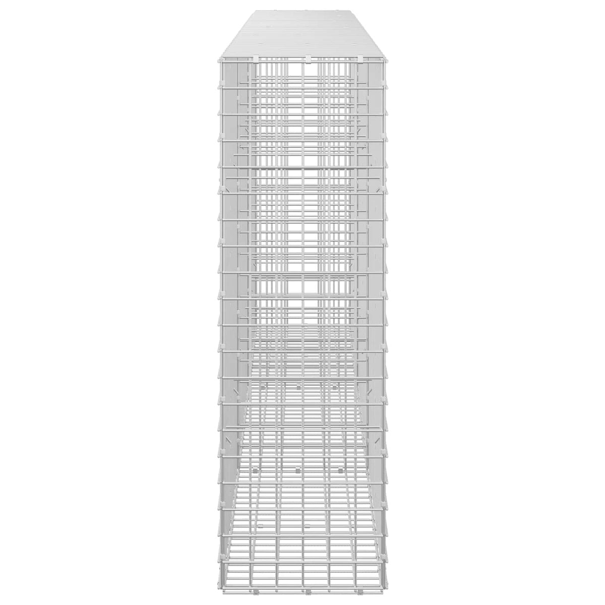 Gabion s 5 mm žicom i mrežom 5x5 cm 300x30x100 cm