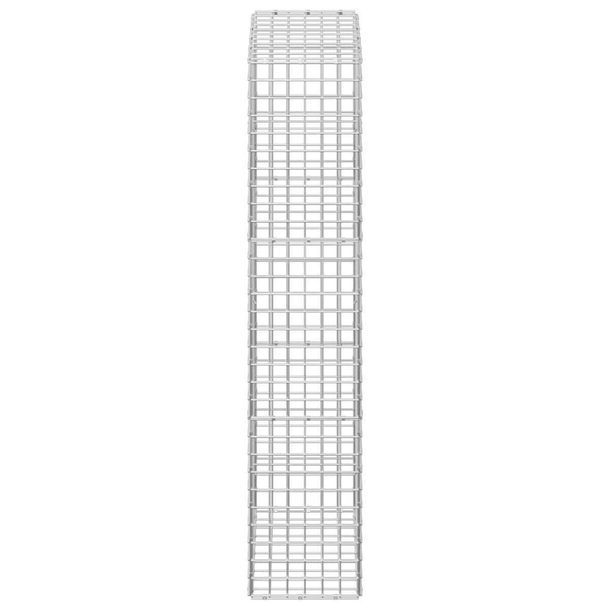 Gabion s 5 mm žicom i mrežom 5x5 cm 50x30x150 cm