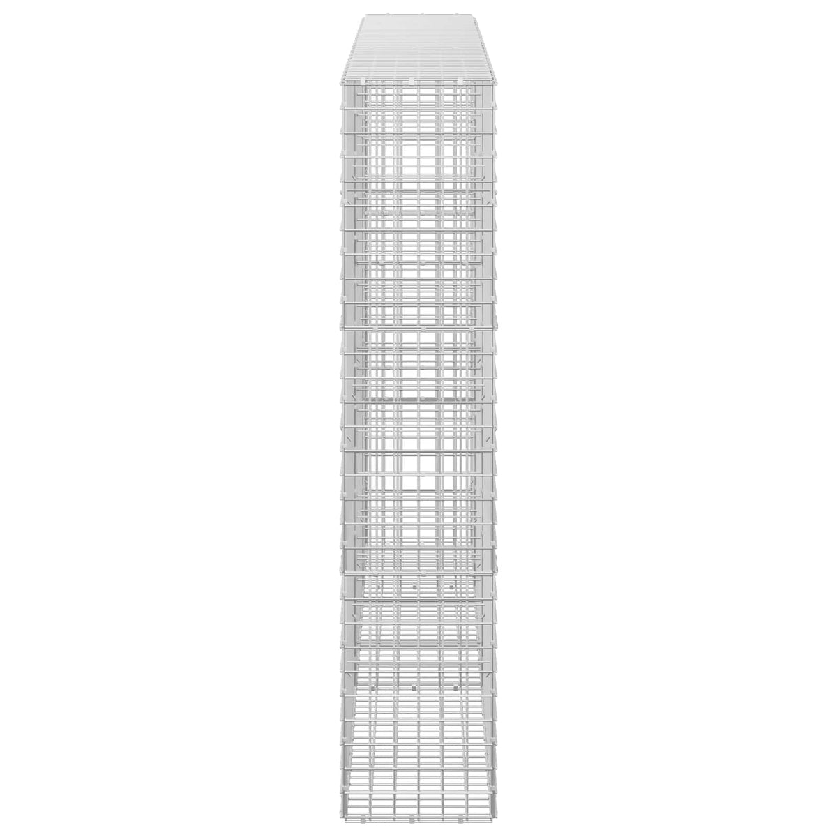 Gabion s 5 mm žicom i mrežom 5x5 cm 250x30x150 cm