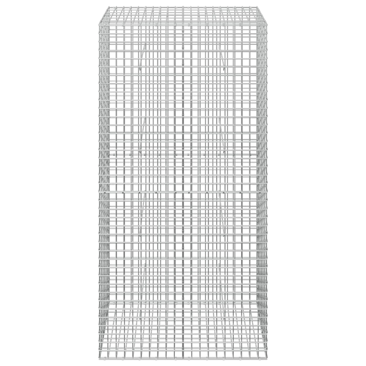 Gabion s 5 mm žicom i mrežom 5x5 cm 100x30x200 cm
