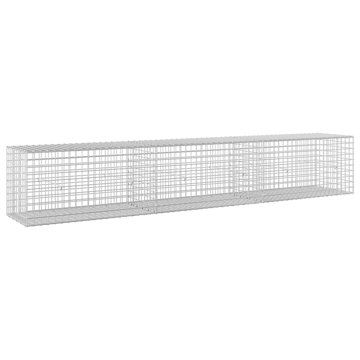 Gabion s 5 mm žicom i mrežom 5x5 cm 300x50x50 cm