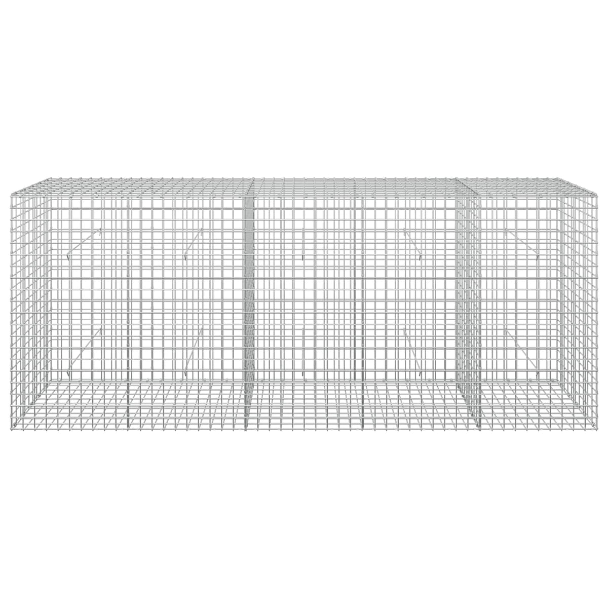 Gabion s 5 mm žicom i mrežom 5x5 cm 250x50x100 cm