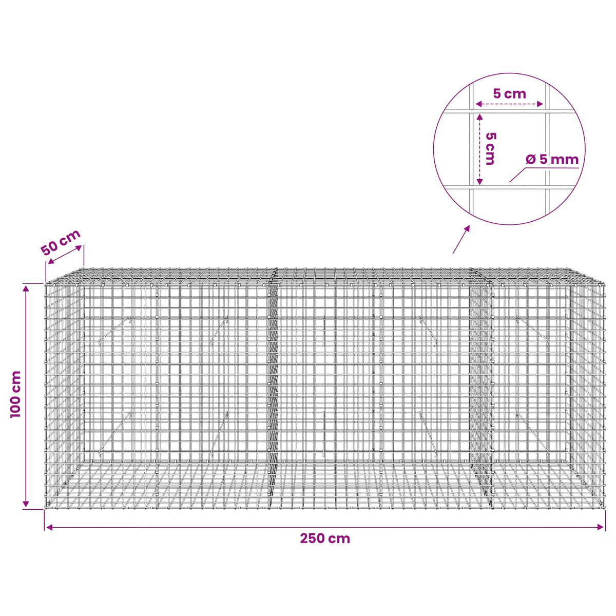 Gabion s 5 mm žicom i mrežom 5x5 cm 250x50x100 cm