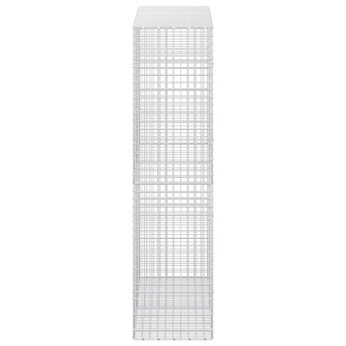 Gabion s 5 mm žicom i mrežom 5x5 cm 200x50x200 cm