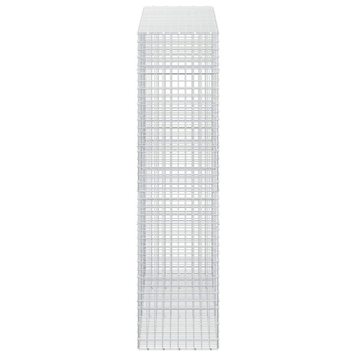 Gabion s 5 mm žicom i mrežom 5x5 cm 250x50x200 cm