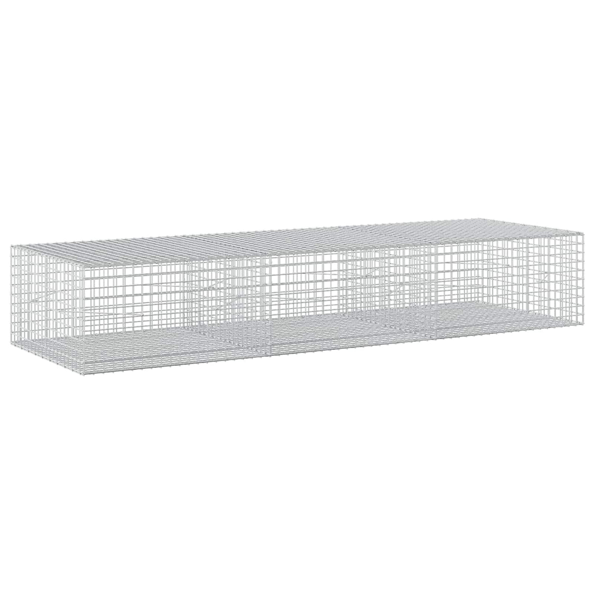 Gabion s 5 mm žicom i mrežom 5x5 cm 300x100x50 cm