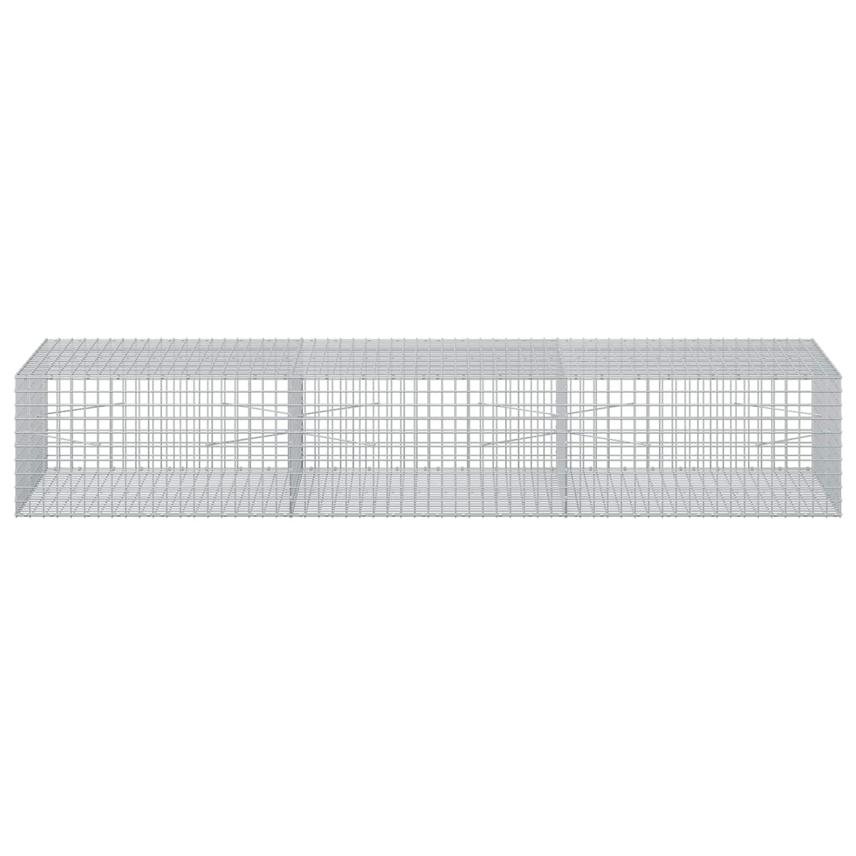 Gabion s 5 mm žicom i mrežom 5x5 cm 300x100x50 cm