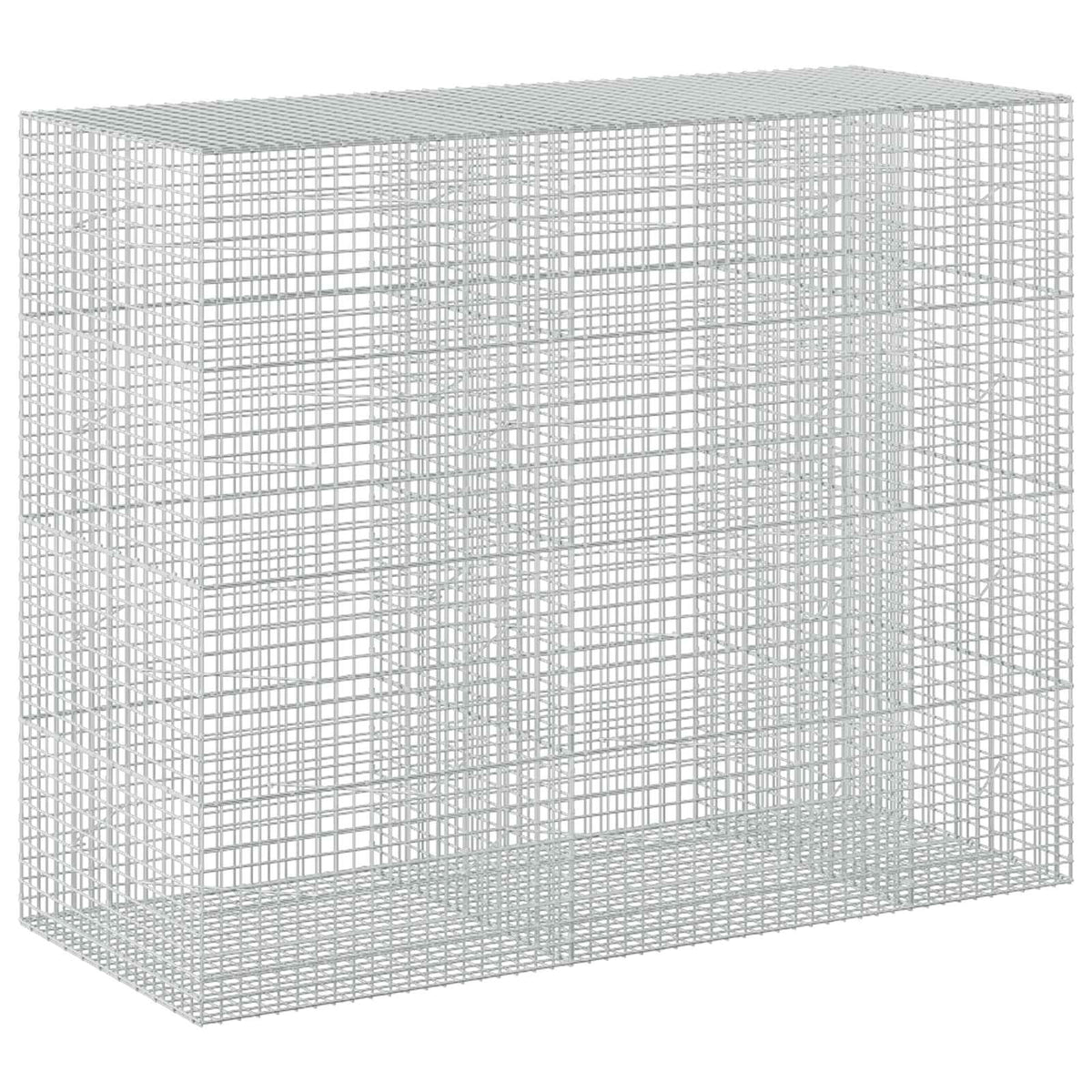 Gabion s 5 mm žicom i mrežom 5x5 cm 250x100x200 cm