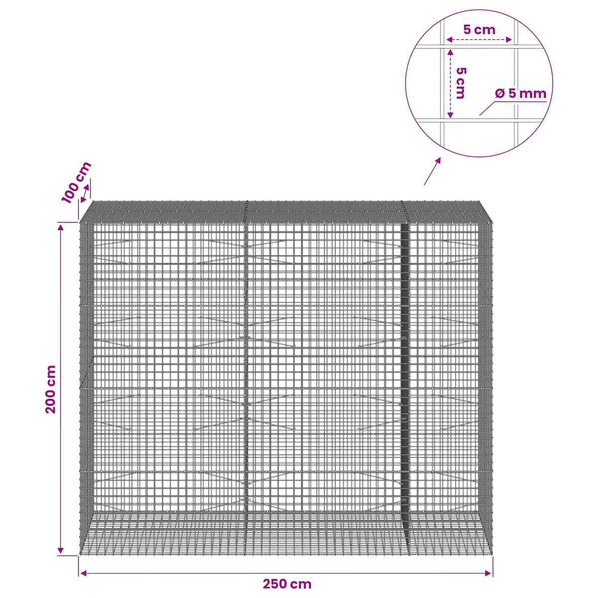 Gabion s 5 mm žicom i mrežom 5x5 cm 250x100x200 cm