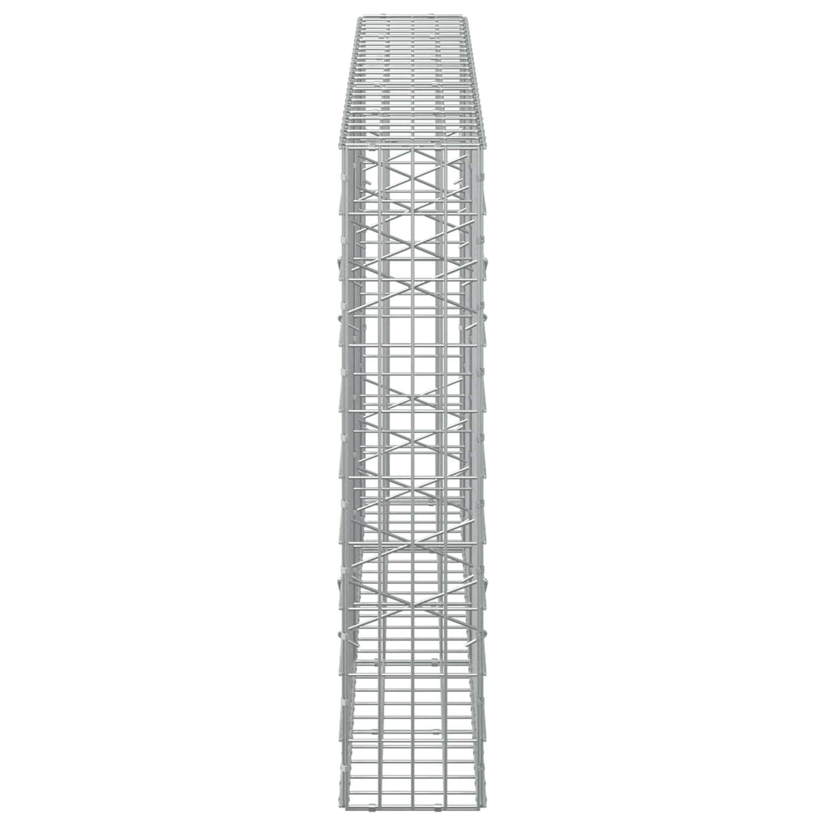 Gabion s žicom debljine 5 mm i mrežom 5x10 cm 250x20x100 cm