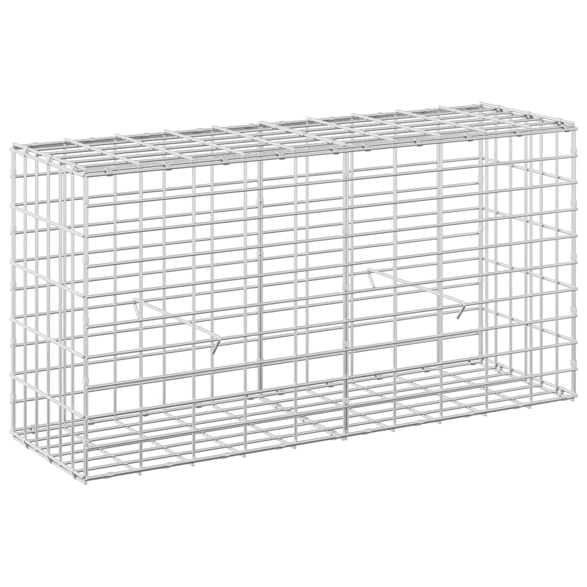 Gabion s žicom debljine 5 mm i mrežom 5x10 cm 100x30x50 cm