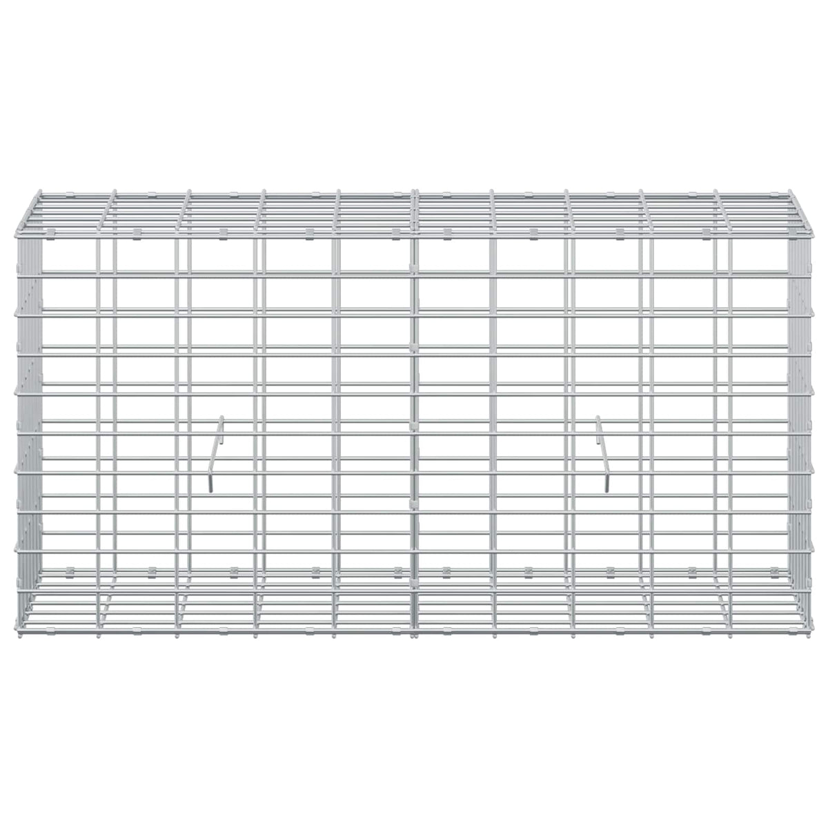 Gabion s žicom debljine 5 mm i mrežom 5x10 cm 100x30x50 cm