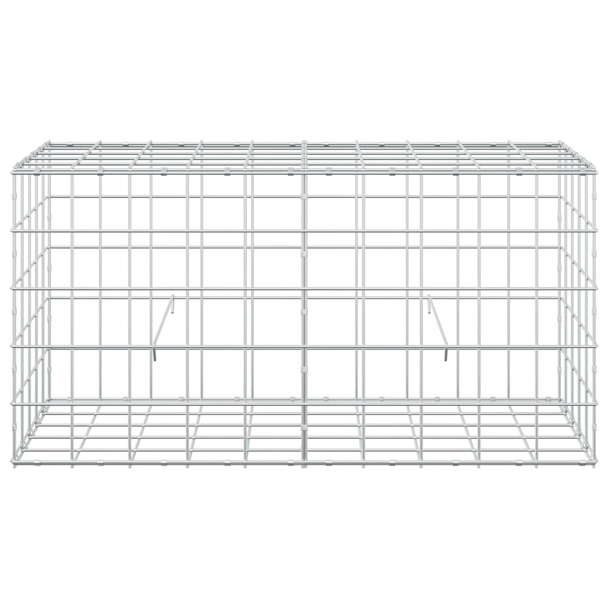 Gabion s žicom debljine 5 mm i mrežom 10x10 cm 100x50x50 cm