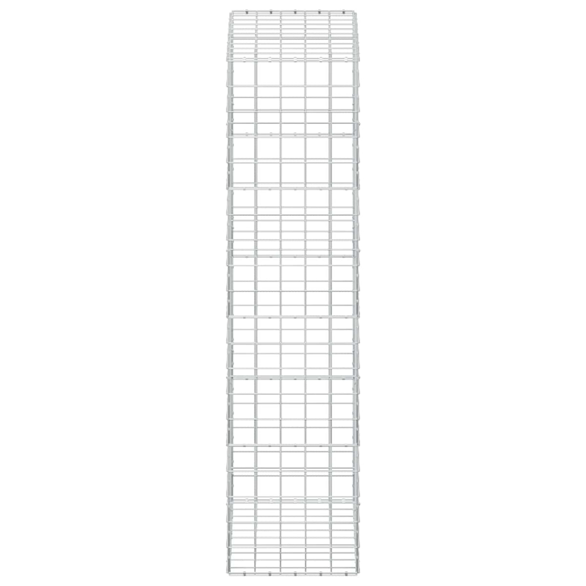 Gabion s žicom debljine 5 mm i mrežom 10x10 cm 100x50x200 cm