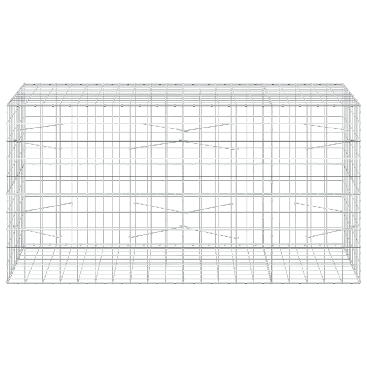 Gabion s žicom debljine 5 mm i mrežom 10x10 cm 200x100x100 cm