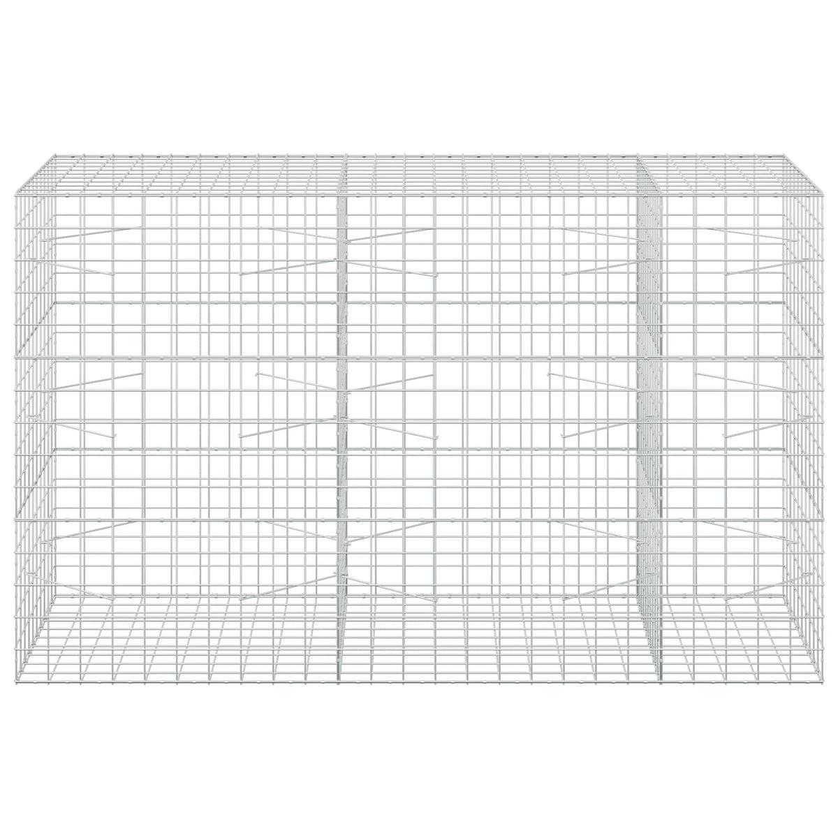 Gabion s žicom debljine 5 mm i mrežom 10x10 cm 250x100x150 cm