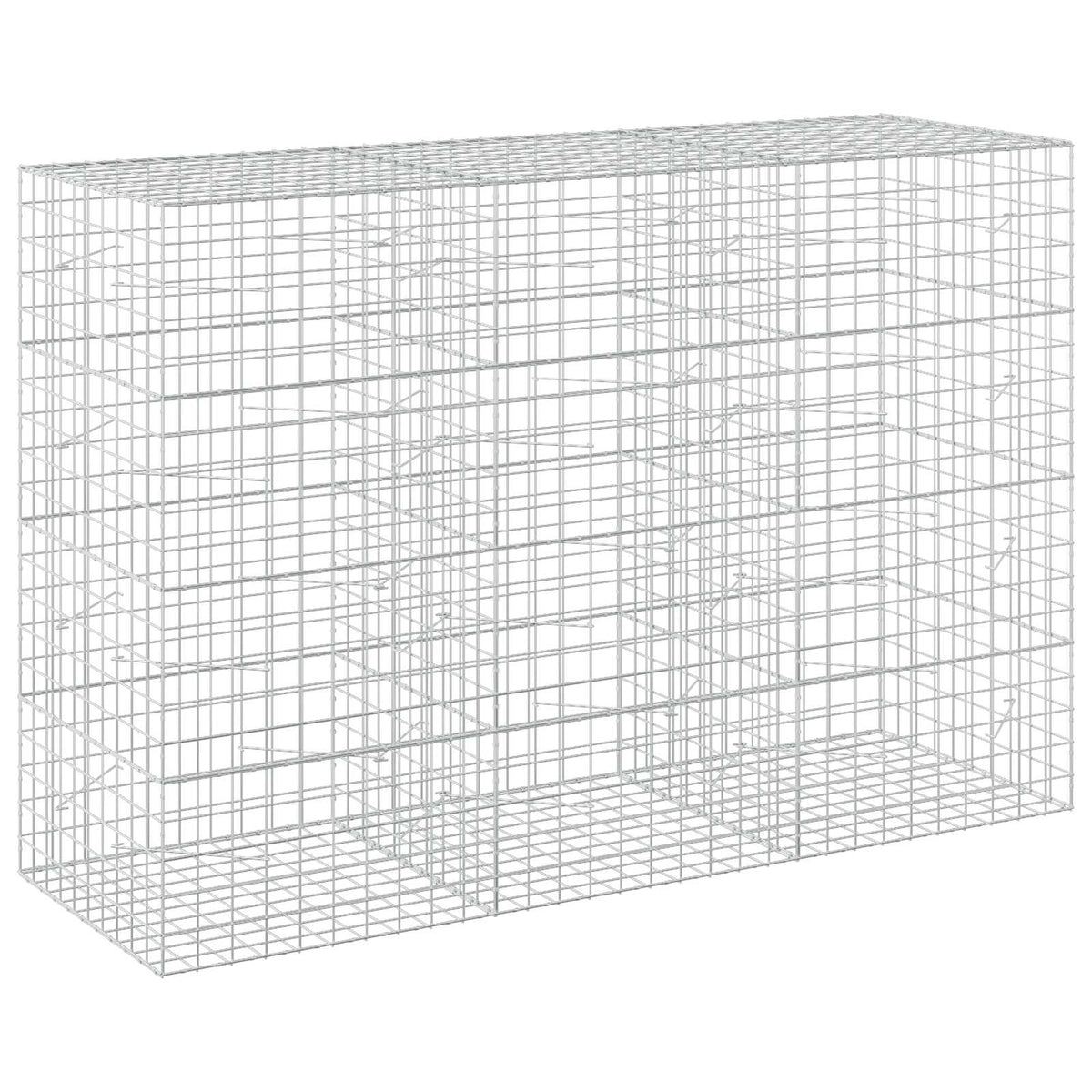 Gabion s žicom debljine 5 mm i mrežom 10x10 cm 300x100x200 cm