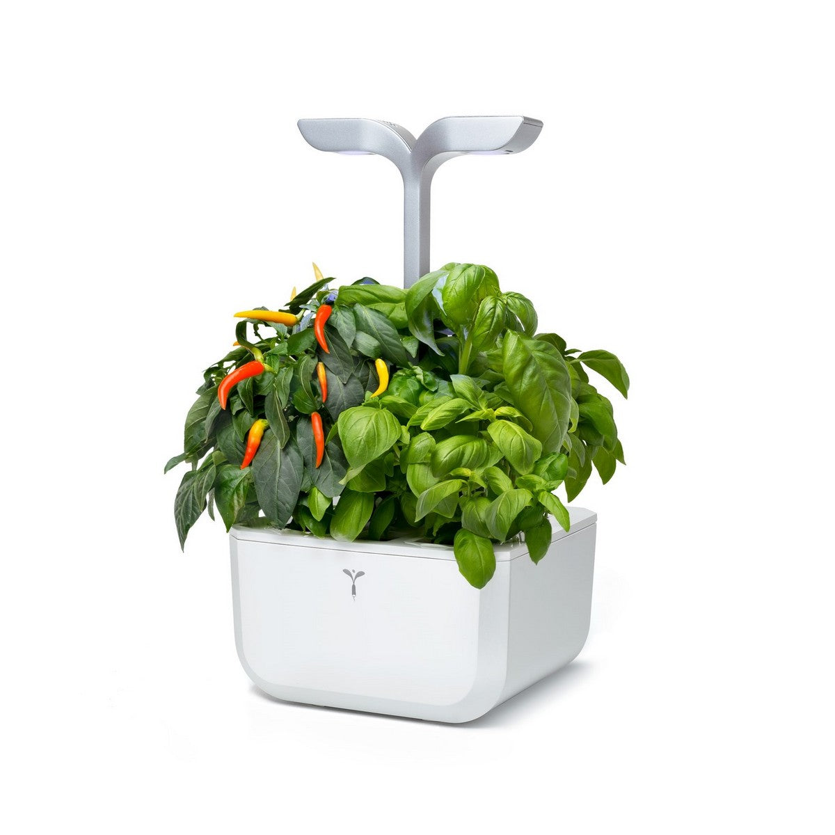 Exky® SMART Arctic White Kučni Vrt