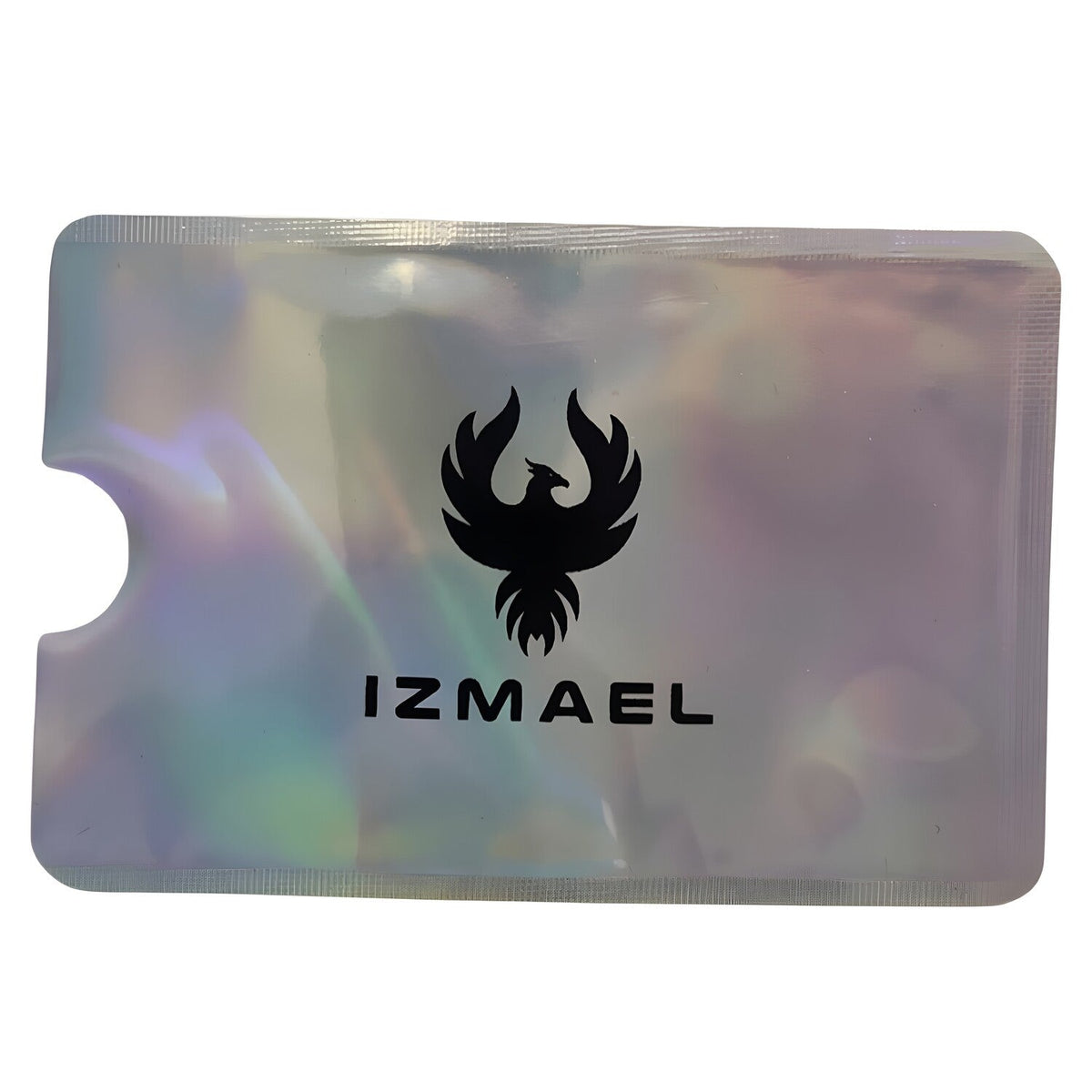 Zaštitna futrola za RFID karticu Izmael - Srebrna