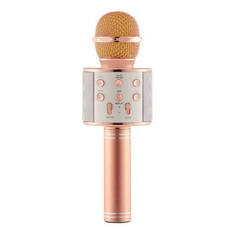 Karaoke mikrofon Ws-858