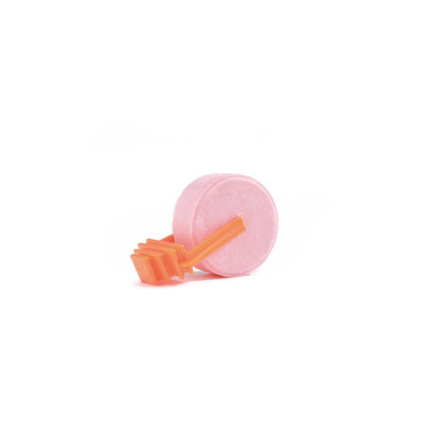 Beeztees Kamen za Lizanje sa držačem promjer 52x12 mm