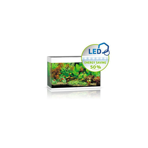 JUWEL Rio 125 LED Akvarij Bijeli, 81 x 36 x 50 cm, 125 litara